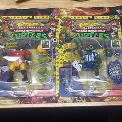 Teenage mutant ninja turtles