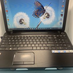 ..TOSHIBA SATÉLITE . .C55D-A….250 GB GB…..8.0 RAM . READY FOR CLASSES ON LINE OR WORK FROM HOME