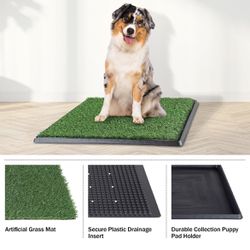 Peed Pad for Dogs 20x25