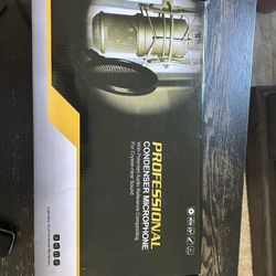 Microphone 