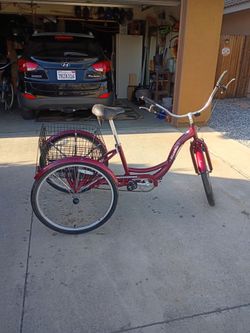 Adult Tricycle