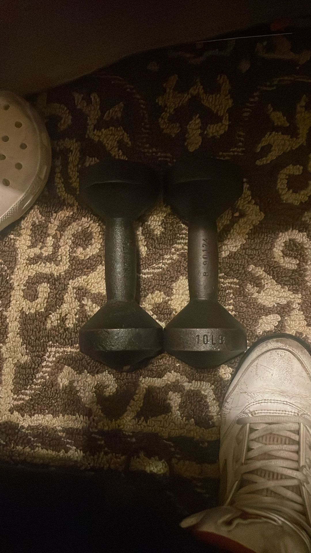 Two 10 Pound Weights 