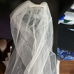 Long Wedding Veil