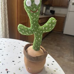 Dancing Cactus