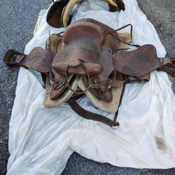 Horse Saddle