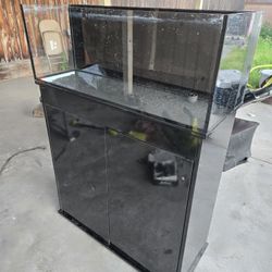 fish tank aquarium 