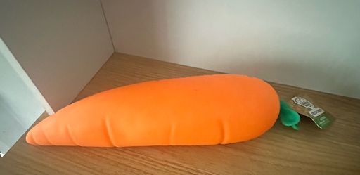Carrot Squishy