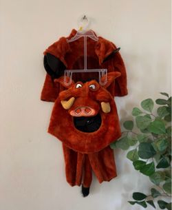 Pumbaa Lion King Kids Halloween Costume size 18months