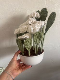 Handmade Crochet Plant in White Pot
