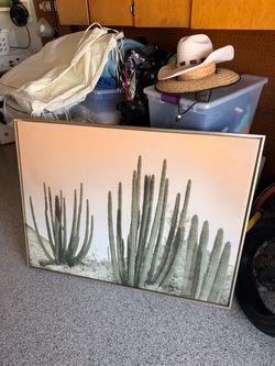 Desert cactus picture. 49x37