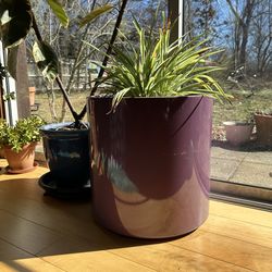 Large Purple planter 18 diameter by 16 high
