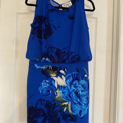 Womens Floral Blue Dress Size 6 Petite 