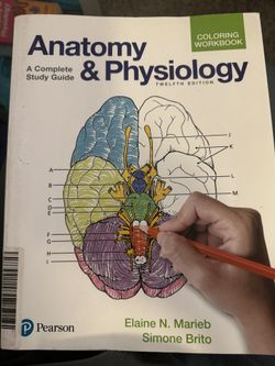 Anatomy & physiology 12th Edition Coloring book