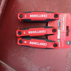 Craftsman Allen keys and Torx keys..