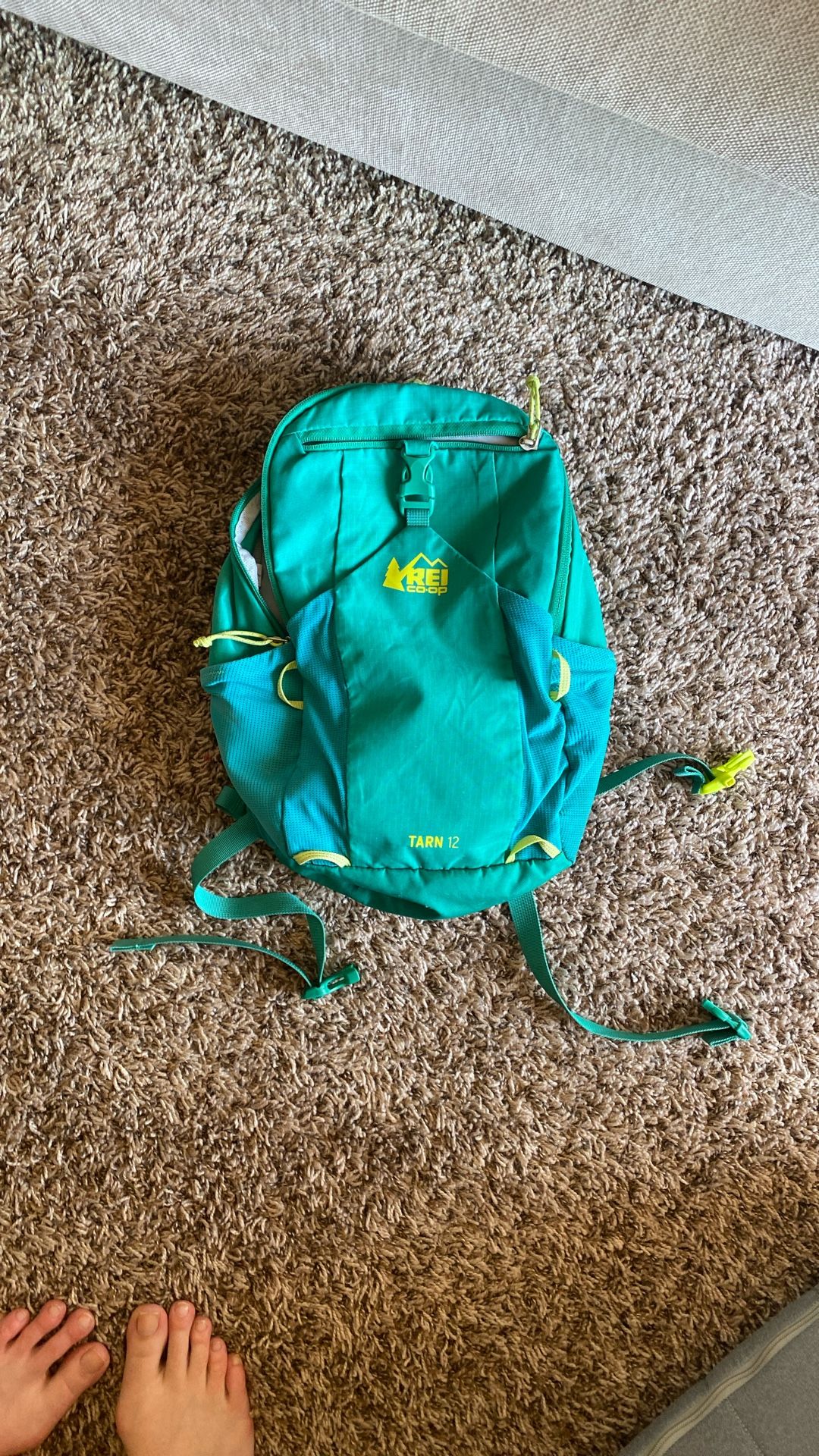 REI Kids Hiking Backpack Tarn 12