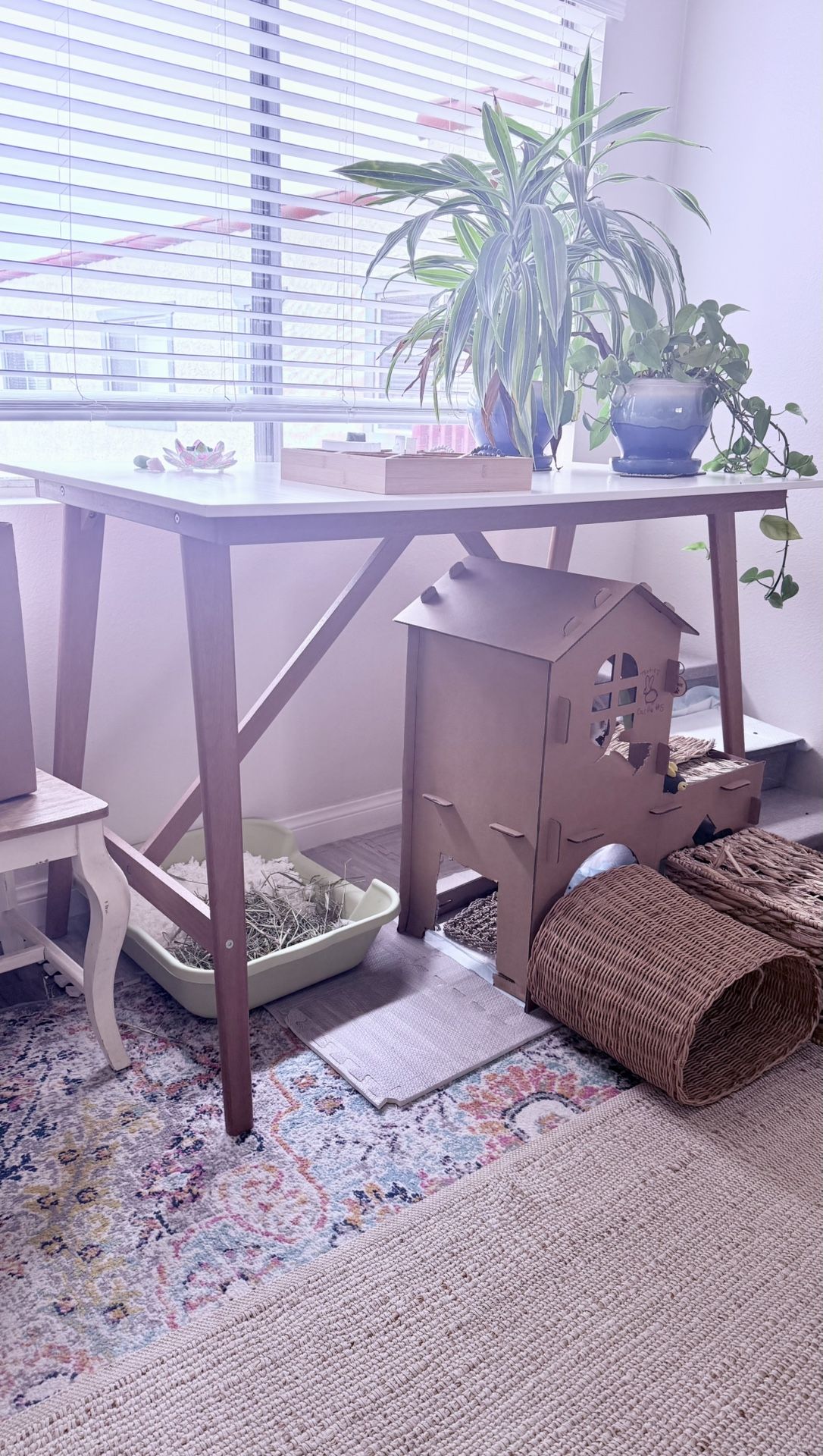 IKEA table, Standing Desk