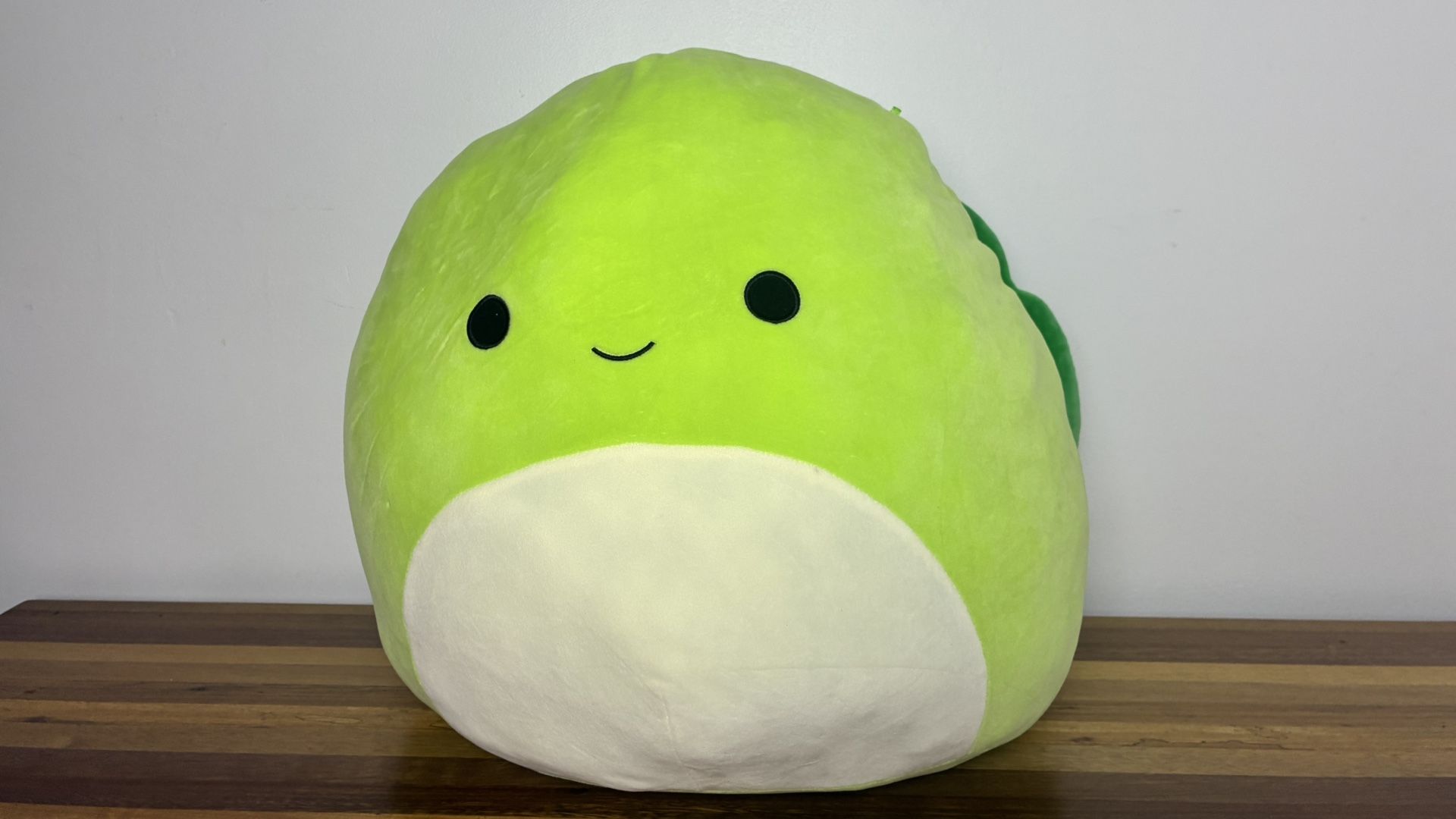 Henry The Turtle Squishmallows!