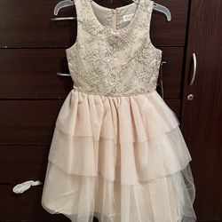Biscotti dress for girls embroidered and sequined. Size 8 New