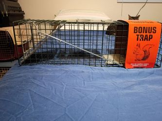 Small Animal Trap