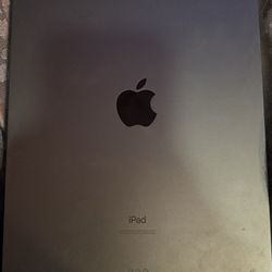 iPad Blue 