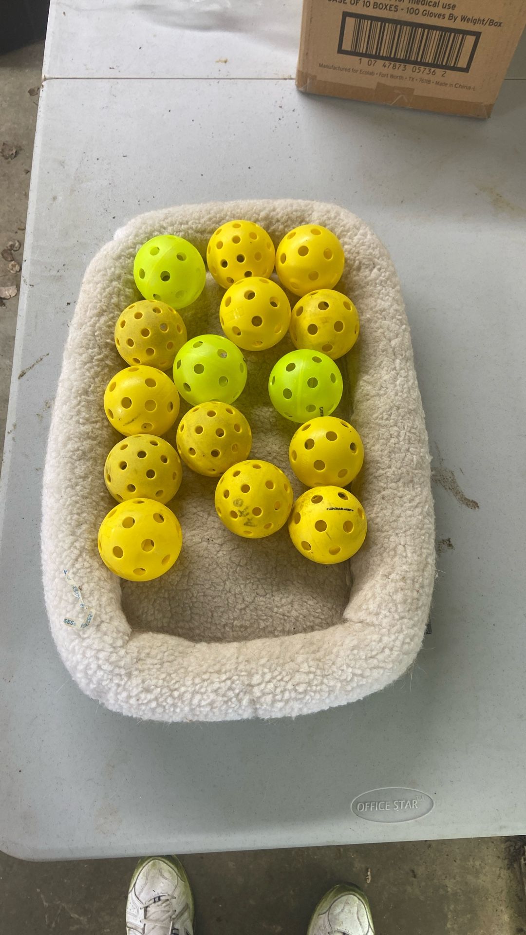 Pickleballs 15