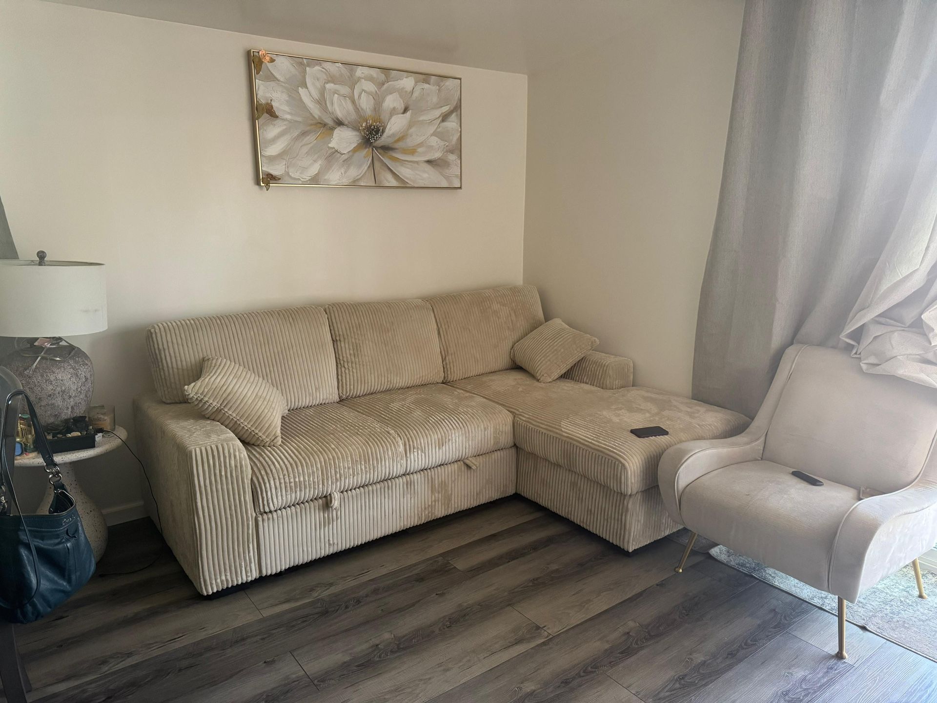 Sofa Cama (Sofa Bed)