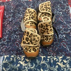 Dog Shoes 