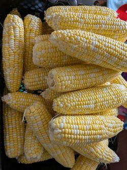 Fresh corn