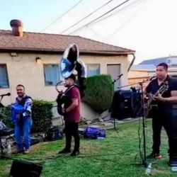 GRUPO NORTENO