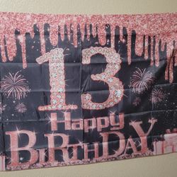 Happy 13th Birthday Decorations 