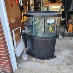 54 Gallon Corner Tank With Stand 