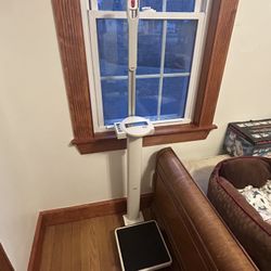 Seca Standing Patient Scale 