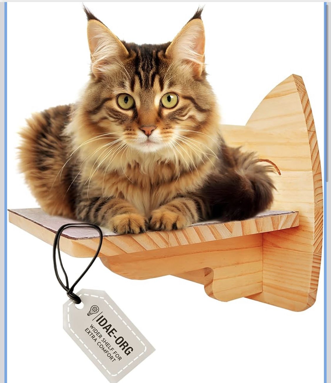 Cat Wall Shelf – Modern Wall-Mounted Furniture with Face Design X(20)