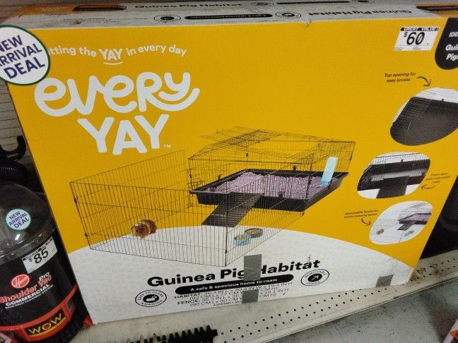 Guinea Pig Habitat