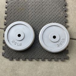 Weight Plates.     40 Dollars 