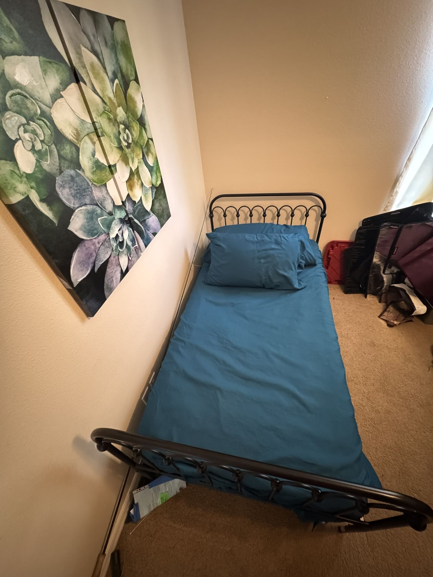 Black Metal Twin Bed Frame and Mattress