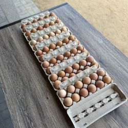 Organic Eggs 