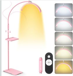 Led beauty light