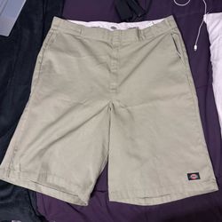 Dickies Shorts