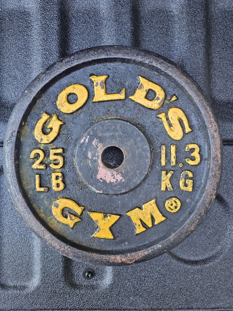 ONE Gold's Gym 25 Pound Weight Plate