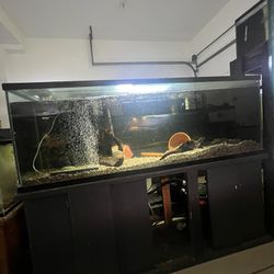 150 Gallon Fish Tank Aquarium 