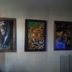 Wildlife Pictures Frames