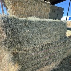 Alfalfa, Bermuda , Cow Hay , Goats, Cows 