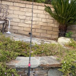  PENN BLUEWATER CARNAGE 7'10" 10-25 lb Mono 20-50 Braid BIG GAME Fishing Rod in XLNT PLUS SHAPE with DECK HANDLE SPECIAL HANDLE!!