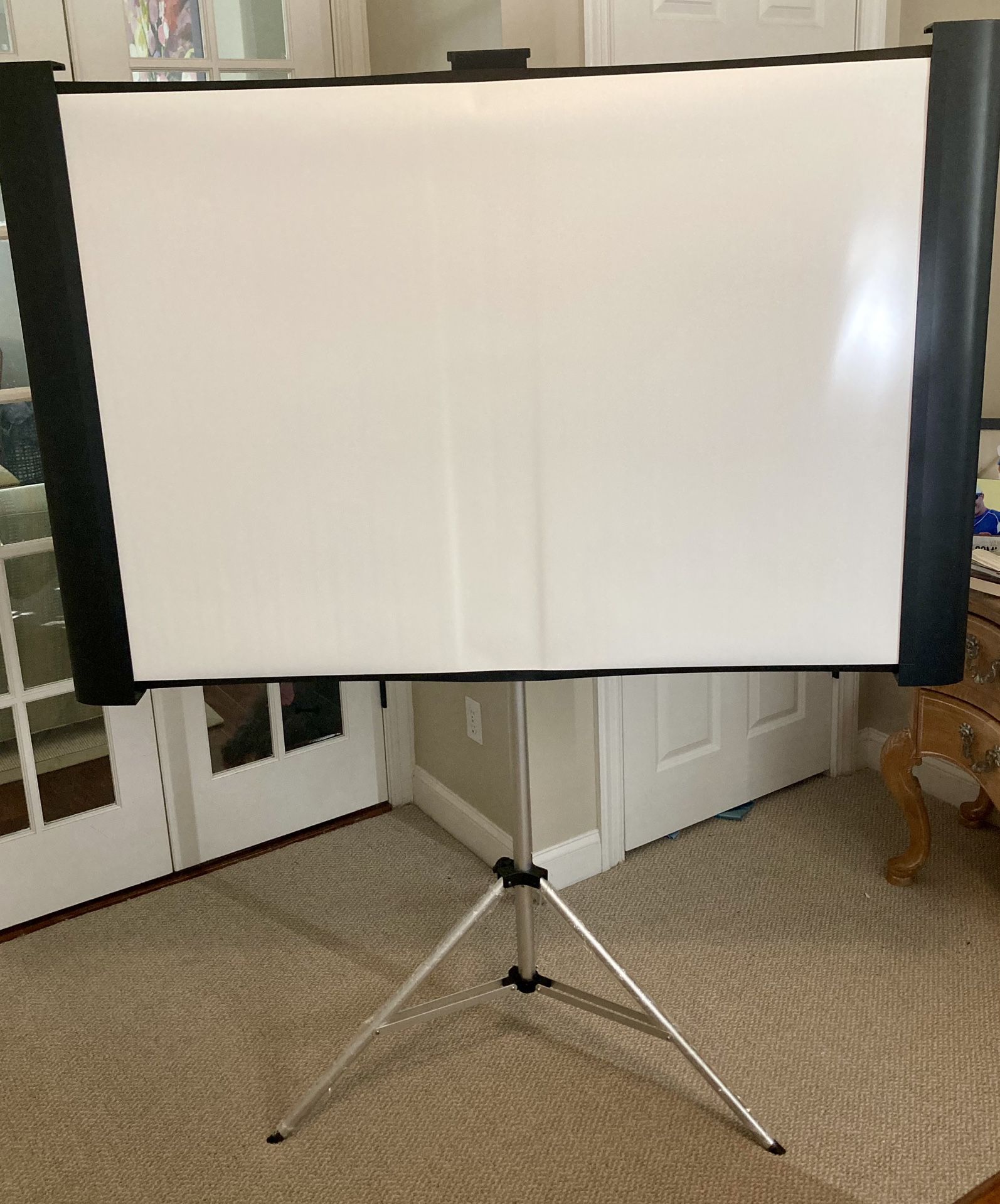 NEW Epson Accolade Duet Ultra Portable Theatrer Business Projector Screen