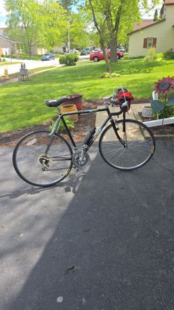 Bicycle Raleigh Capri Black 26inch