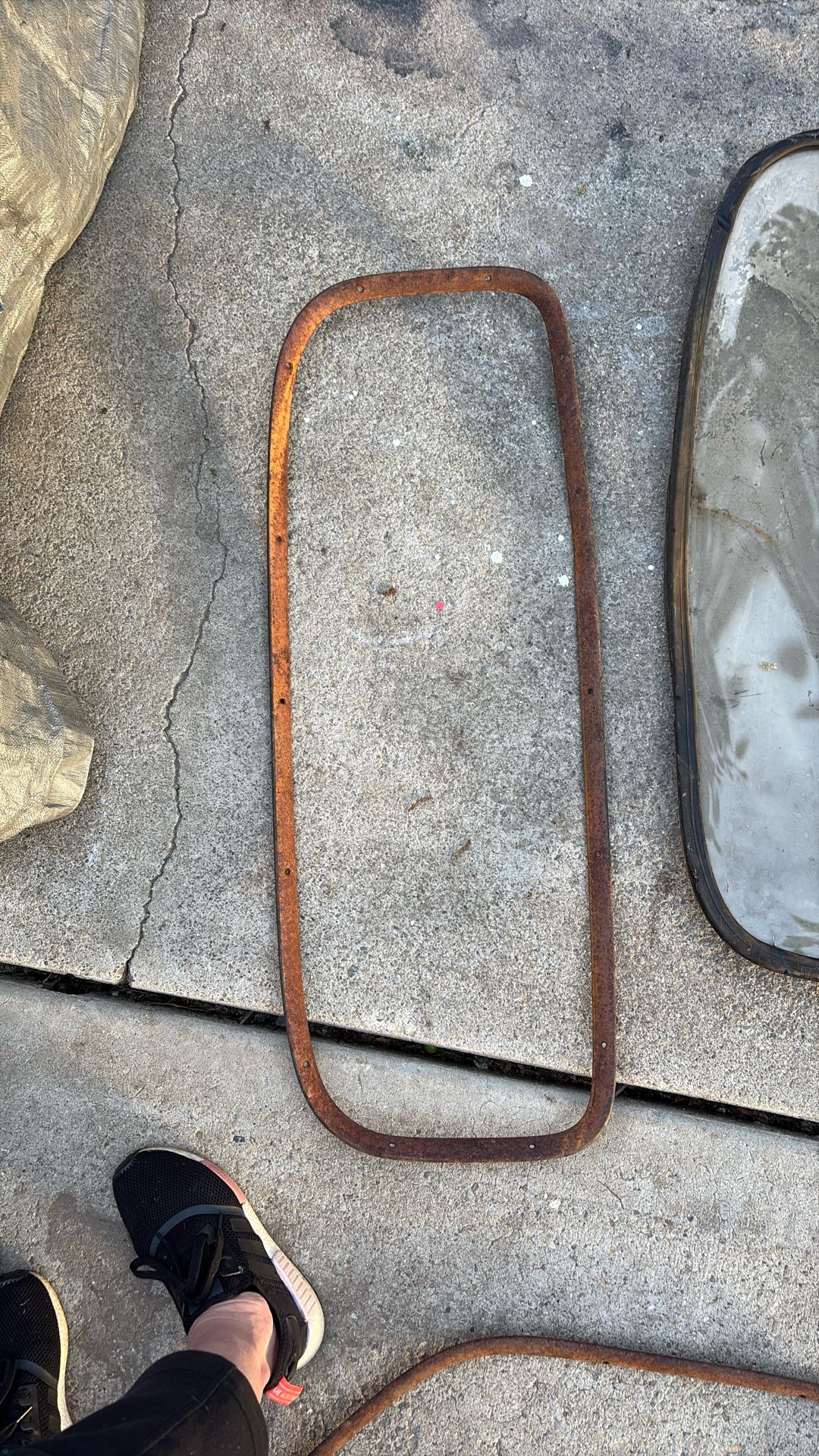 VW Bug Or VW Bus. Fame And Back Window