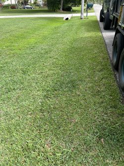 Lawns And Trees 🌴
