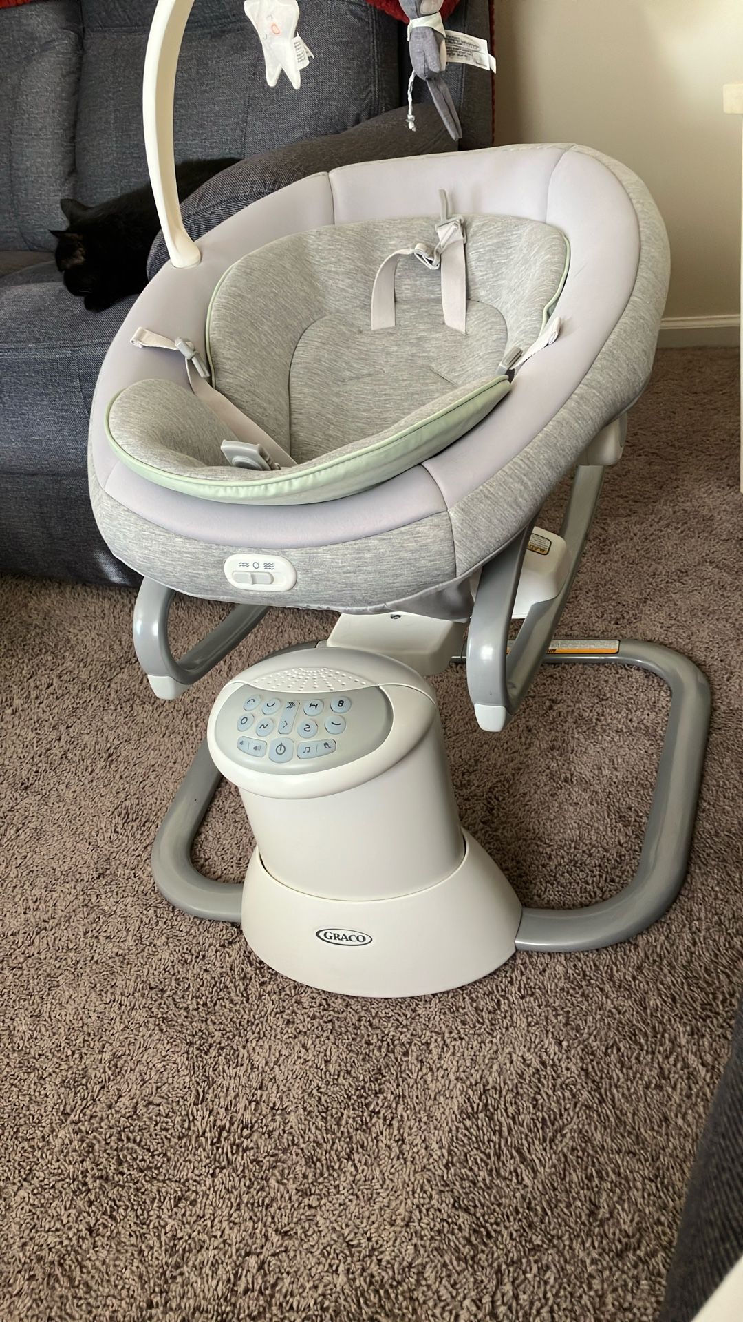 Graco Soothe My Way Baby Swing