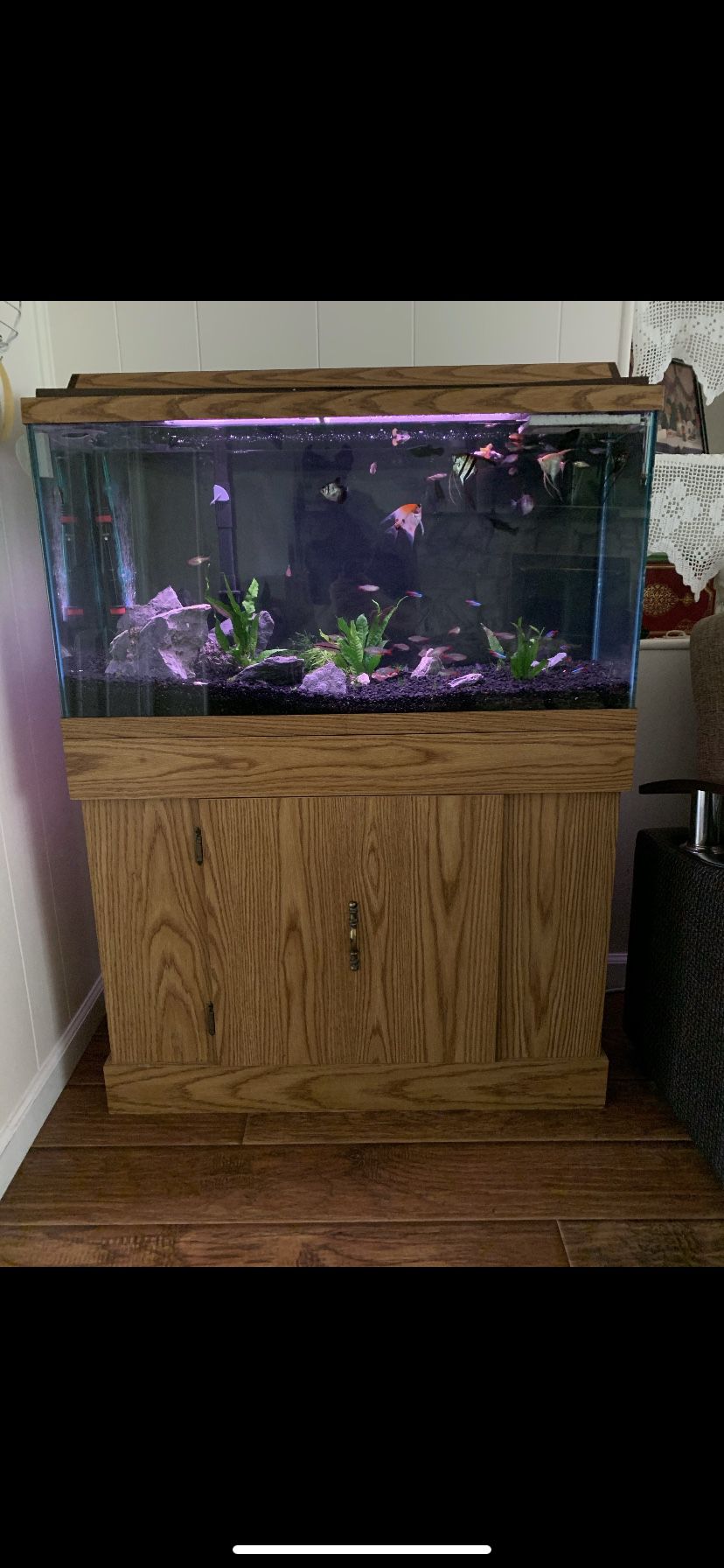 Fish tank 36 gallon
